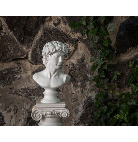 Гипсовый бюст Давида (белый), 32,5 см