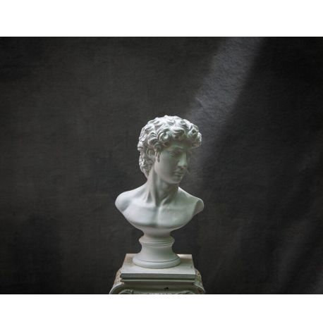 Гипсовый бюст Давида (белый), 32,5 см