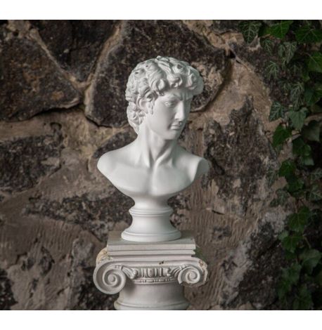 Гипсовый бюст Давида (белый), 32,5 см