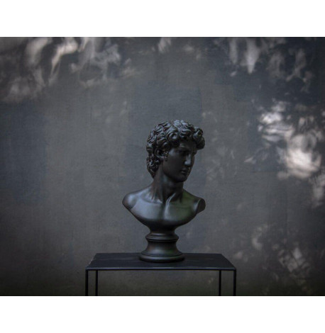 Гіпсовий бюст Давида (чорний), 32,5 см
