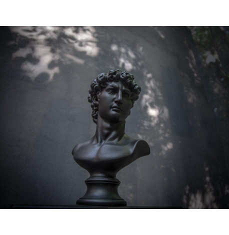 Гіпсовий бюст Давида (чорний), 32,5 см