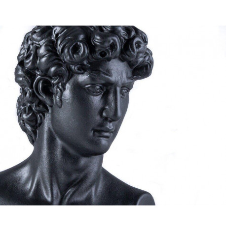 Гіпсовий бюст Давида (чорний), 32,5 см