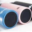 Термобутылка Cheeki Active Bottle Insulated Pink (600 мл)