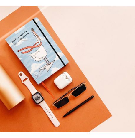 Планер "Гусь организованный"