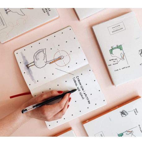 Планер "Гусь организованный"