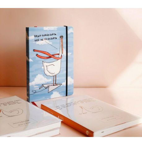 Планер "Гусь организованный"