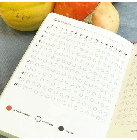 Планер "Гусь организованный"