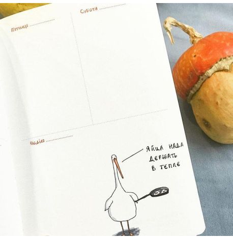 Планер "Гусь организованный"