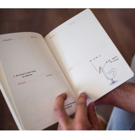 Планер "Гусь организованный"