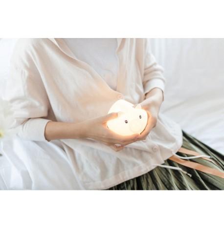 Детский силиконовый ночник "Круглая свинка"