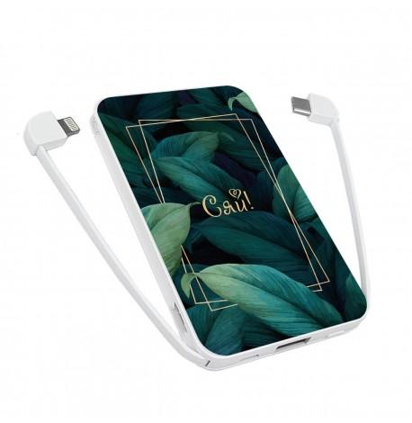 Повербанк (powerbank) Ziz "Сяй" 5000 mAh