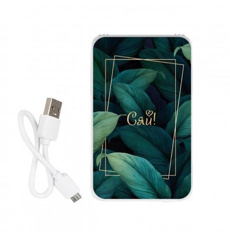 Повербанк (powerbank) Ziz "Сяй" 5000 mAh