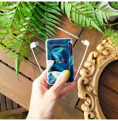 Повербанк (powerbank) Ziz "Сяй" 5000 mAh