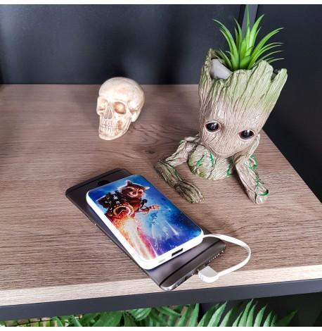 Повербанк (powerbank) Ziz "Енот ракета" 5000 mAh