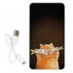 Повербанк (powerbank) Ziz "Котофей" 10000 mAh