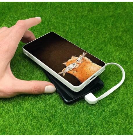 Повербанк (powerbank) Ziz "Котофей" 10000 mAh