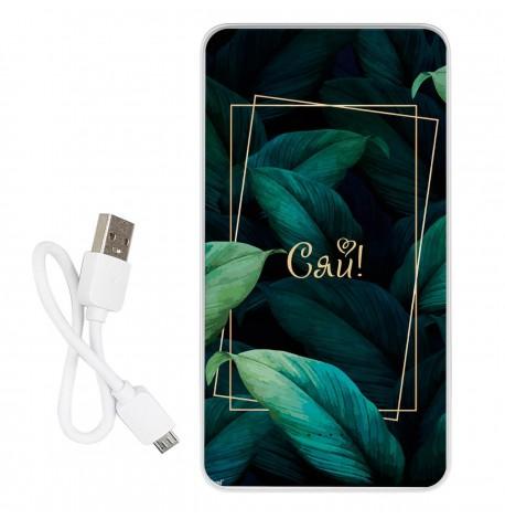 Повербанк (powerbank) Ziz "Сяй" 10000 mAh