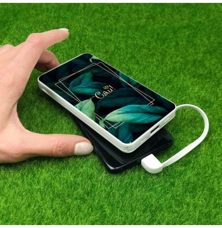 Повербанк (powerbank) Ziz "Сяй" 10000 mAh