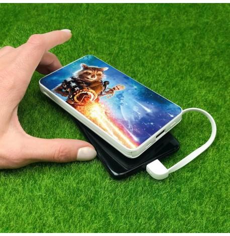 Повербанк (powerbank) Ziz "Енот ракета" 10000 mAh