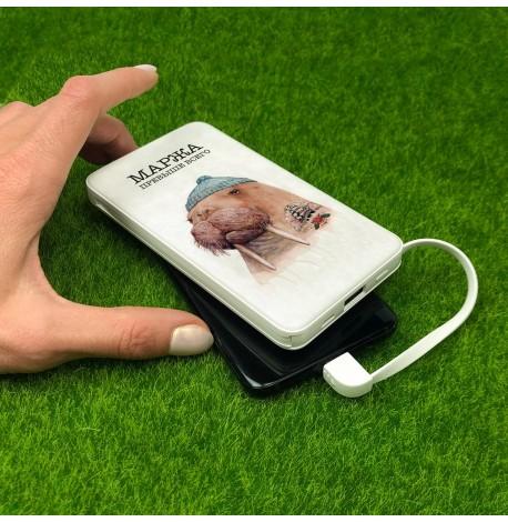 Повербанк (powerbank) Ziz "Маржа" 10000 mAh