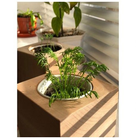 Экокуб для выращивания растений "Ромашка"