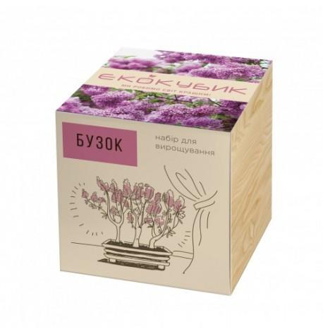 Экокуб для выращивания растений "Сирень"