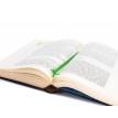 Закладка для книг «Жаба» зелена