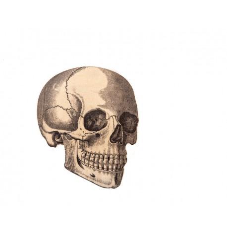 Настенная вешалка-крючок "Череп"