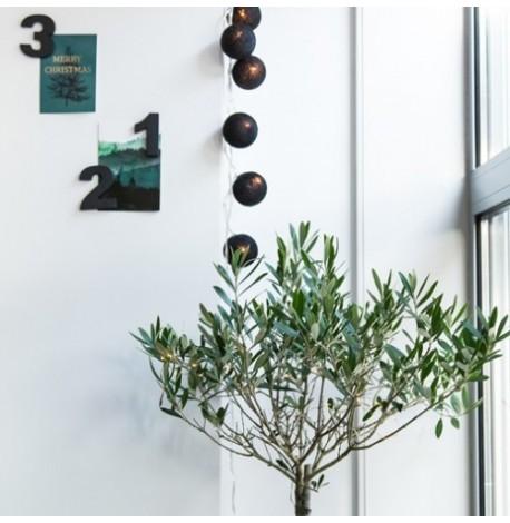 Тайская LED-гирлянда Black (10 шариков) линия на батарейках