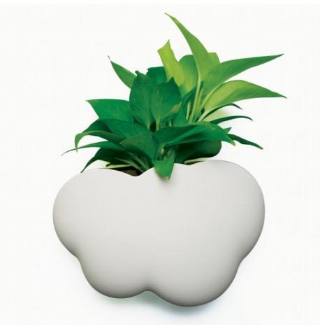 Многофункциональный органайзер Cloud Qualy