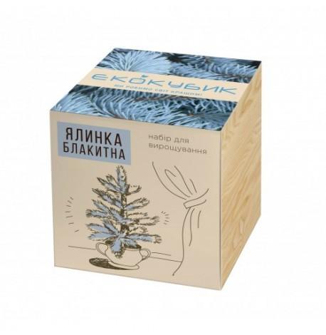 Экокуб для выращивания растения "Голубая ель"