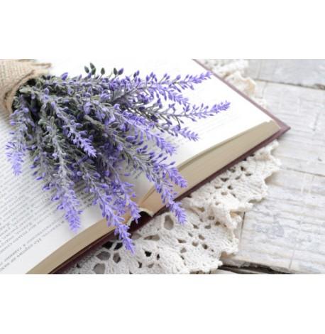 Экокуб для выращивания растений "Лаванда"