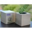 Экокуб для выращивания растений "Лаванда"