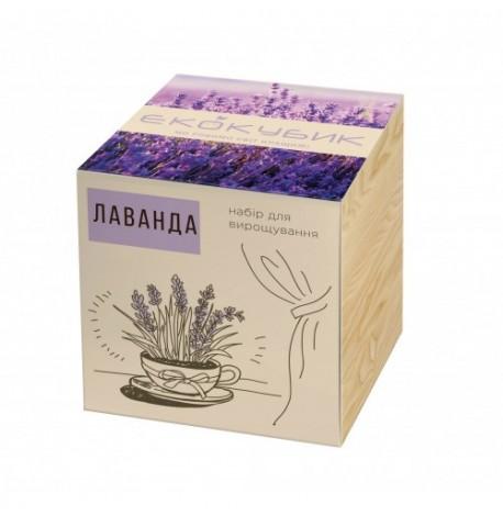 Экокуб для выращивания растений "Лаванда"