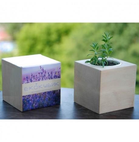 Экокуб для выращивания растений "Лаванда"