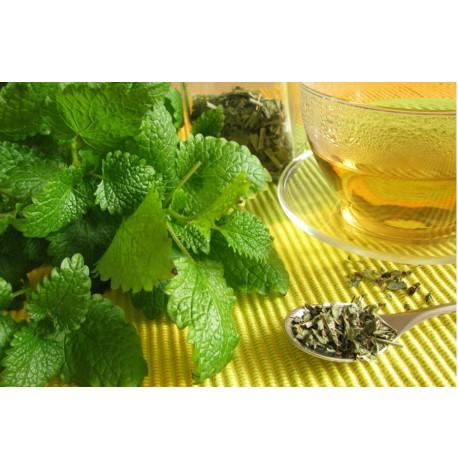 Экокуб для выращивания растений "Мелисса"