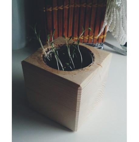 Экокуб для выращивания растений "Мелисса"