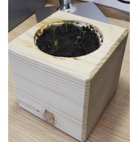 Экокуб для выращивания растений "Мелисса"