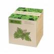 Экокуб для выращивания растений "Мелисса"