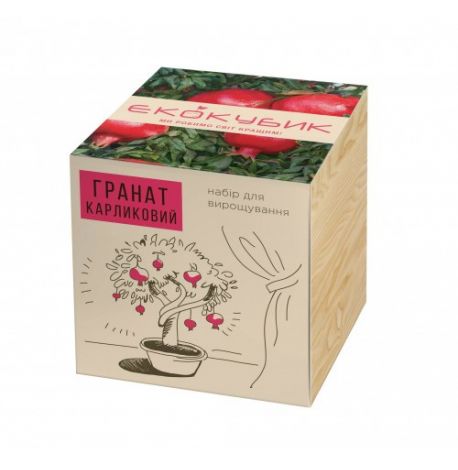 Экокуб для выращивания растений "Гранат карликовый"