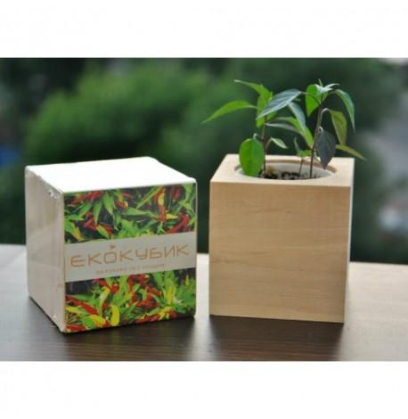 Экокуб для выращивания растений "Перец жгучий"