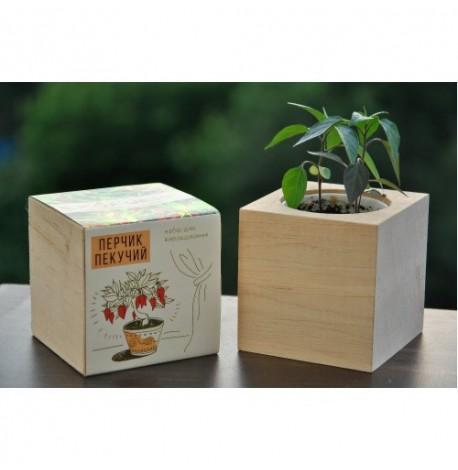 Экокуб для выращивания растений "Перец жгучий"