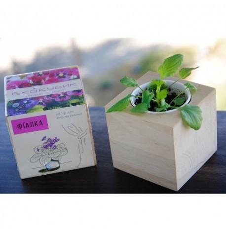 Экокуб для выращивания растений "Фиалка"