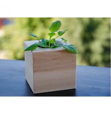 Экокуб для выращивания растений "Фиалка"