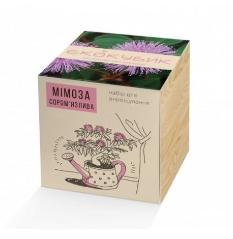 Экокуб для выращивания растений "Мимоза стыдливая"