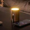 Портативна Bluetooth колонка зі світильником Gingko Drum (горіх)