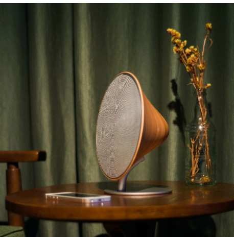 Bluetooth колонка Gingko Halo One (береза)