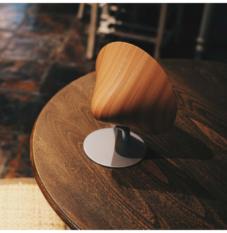 Bluetooth колонка Gingko Halo One (береза)