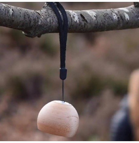 Портативна Bluetooth колонка Gingko Tumbler Selfi (вишня)