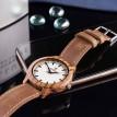 Дерев'яний наручний годинник Skinwood Zebra